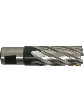 Evolution Power Tools Steel LineEVOLUTION LANGE HSS KERNFREES - 20 MM